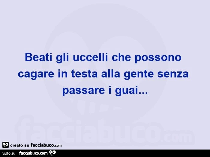 Beati gli uccelli che possono cagare in testa alla gente senza passare i guai