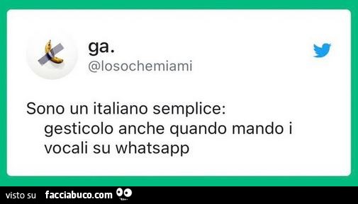 Sono un italiano semplice: gesticolo anche quando mando i vocali su whatsapp