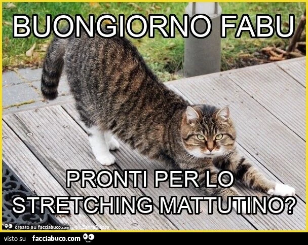 Buongiorno fabu pronti per lo stretching mattutino?