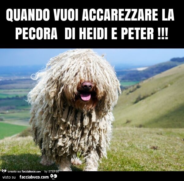 Quando vuoi accarezzare la pecora di heidi e peter