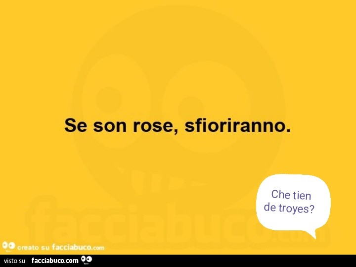 Se son rose, sfioriranno