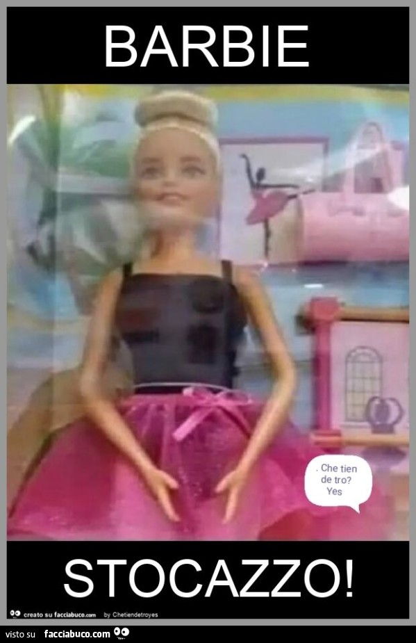 Barbie stocazzo