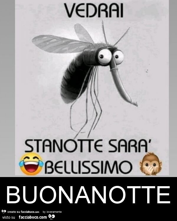 Buonanotte