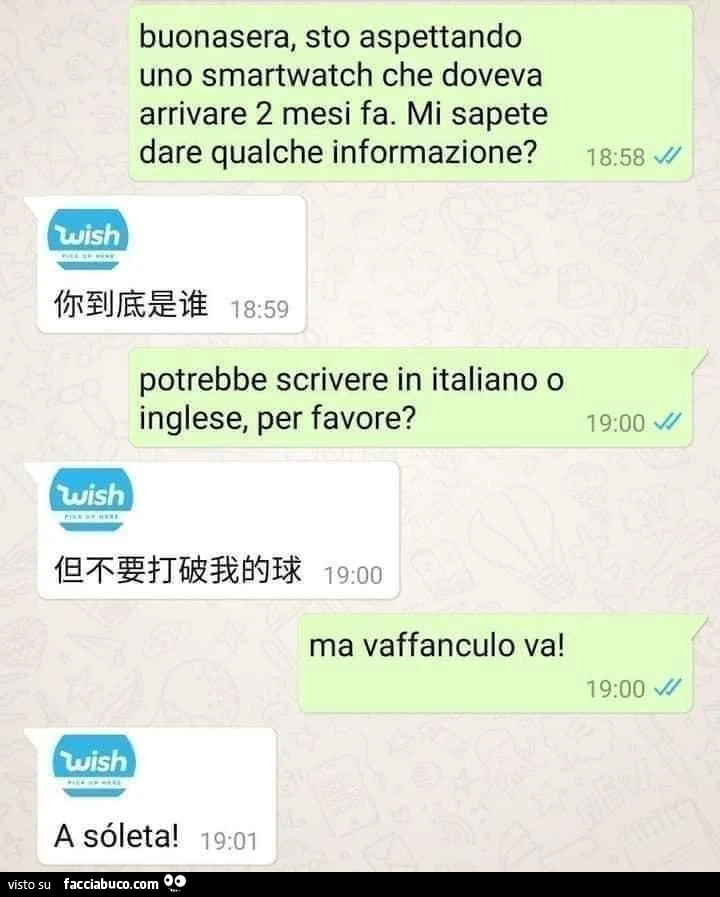 Buonasera, sto aspettando uno smartwatch che doveva arrivare 2 mesi fa. Mi sapete dare qualche informazione? Potrebbe scrivere in italiano