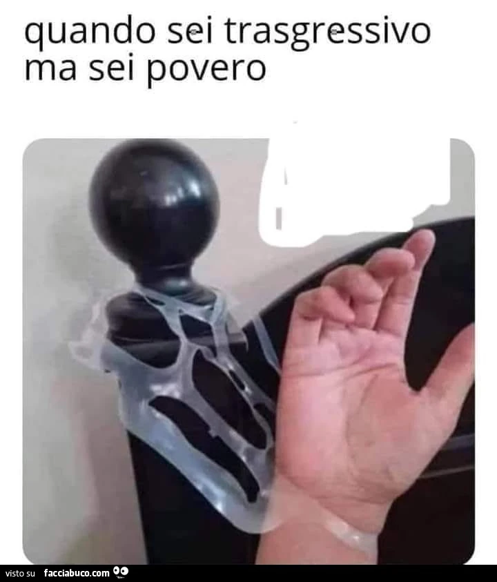 Vaccata