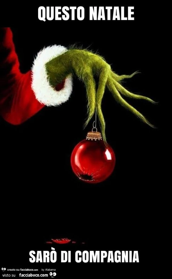 Questo natale sarò di compagnia
