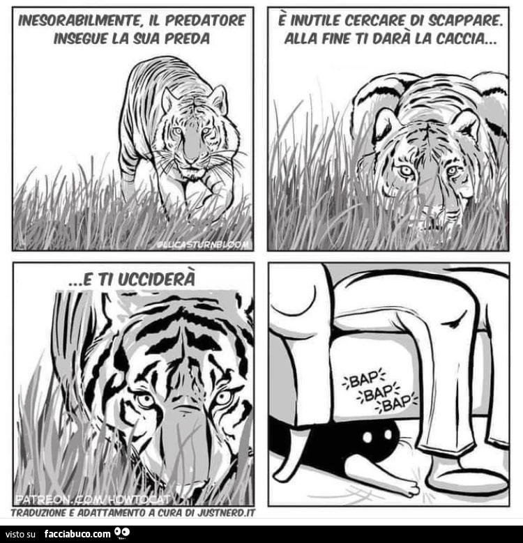 Vaccata