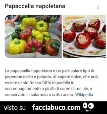 Vaccata