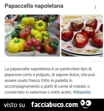 Vaccata