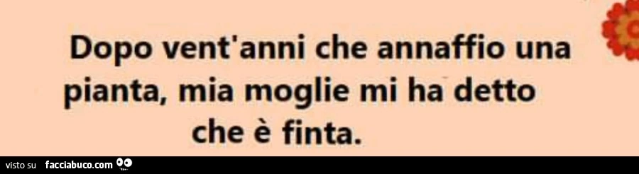 Cose