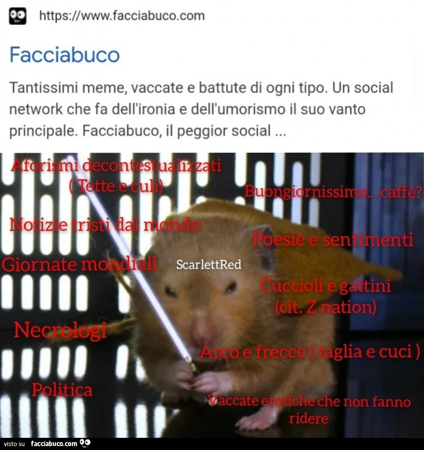 Vaccata