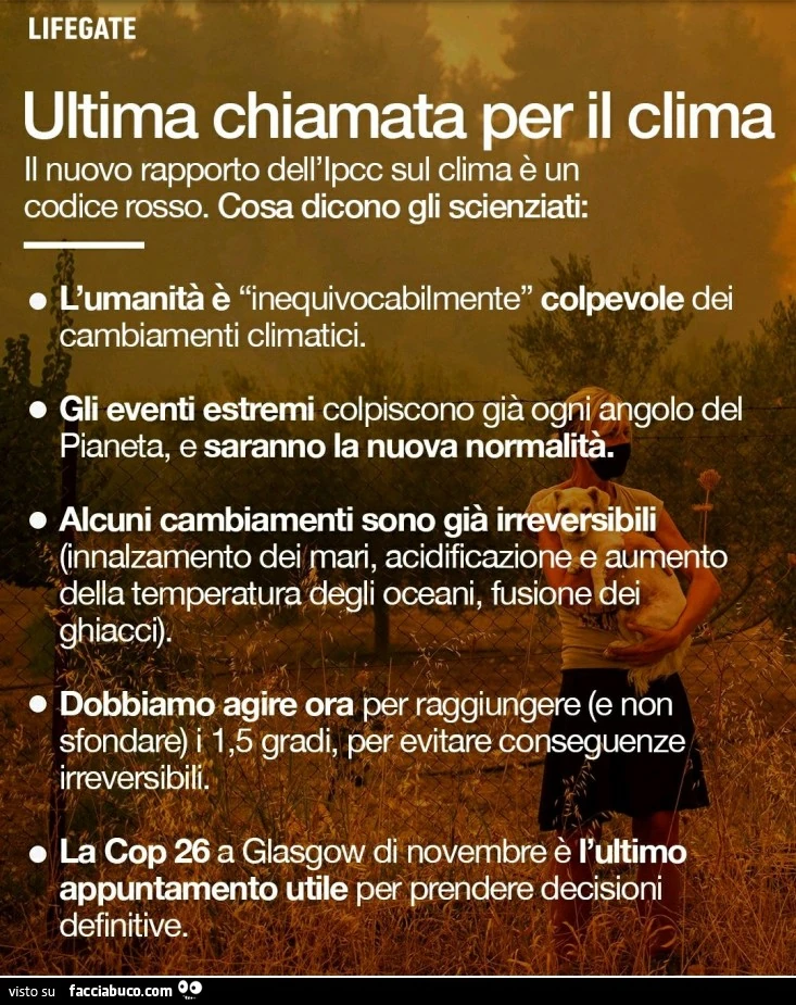 Vaccata