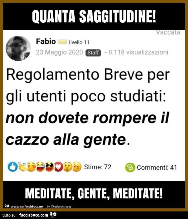 Quanta saggitudine! Meditate, gente, meditate