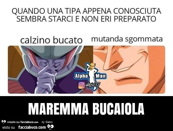 Maremma bucaiola