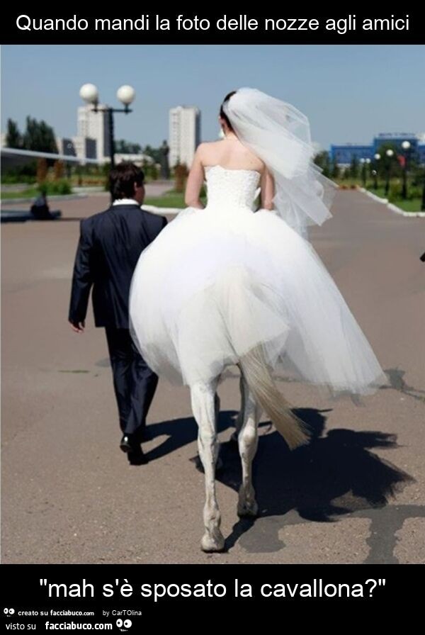 Quando mandi la foto delle nozze agli amici "mah s'è sposato la cavallona? "