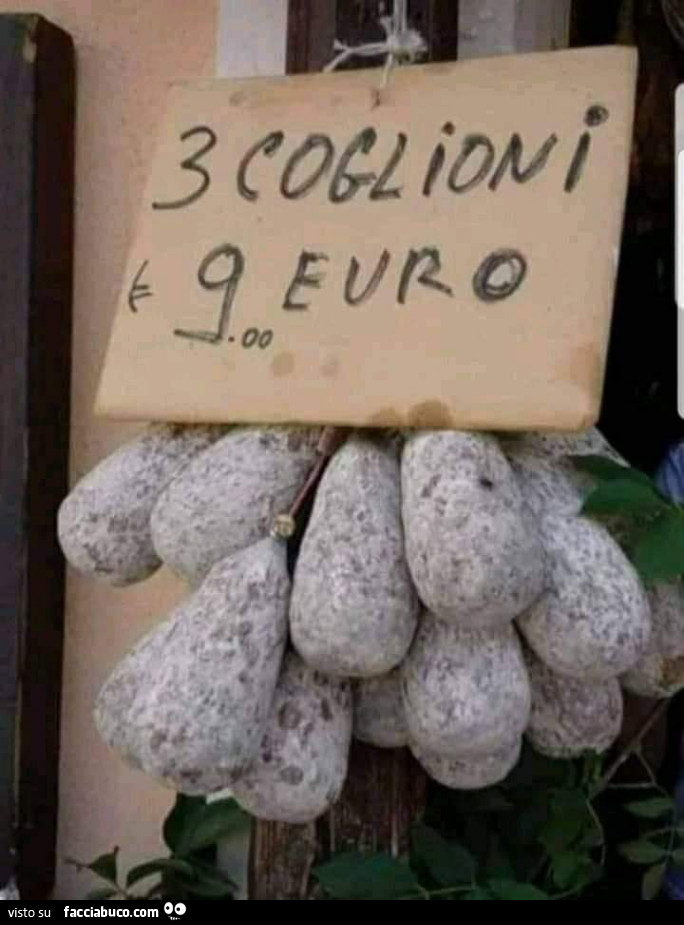 tutti-i-meme-su-coglioni-facciabuco