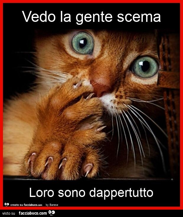 Vedo la gente scema loro sono dappertutto