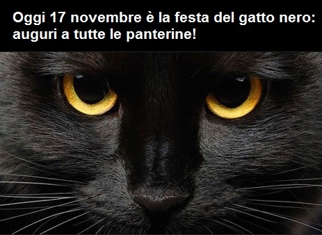 Il 17 novembre è la festa del gatto nero: curiosità, leggende e  superstizioni