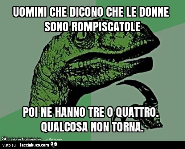 Uomini che dicono che le donne sono rompiscatole poi ne hanno tre o quattro. Qualcosa non torna