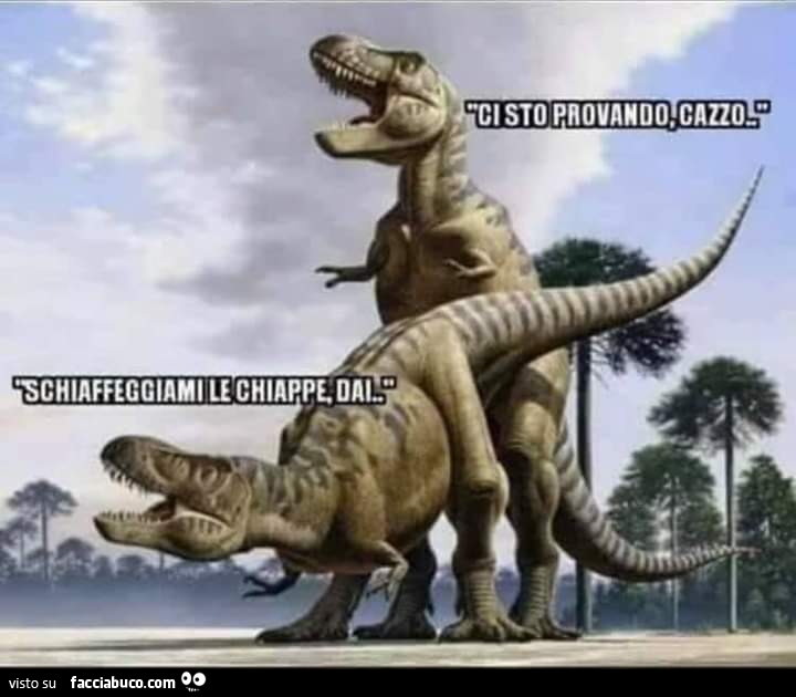 Schiaffeggiami le chiappe di ci sto provando