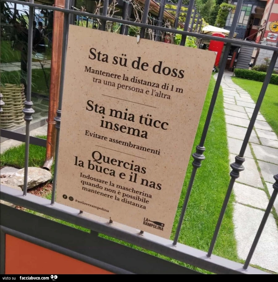 Vaccata