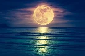 Buona notte