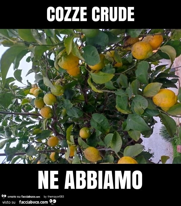 Cozze crude ne abbiamo