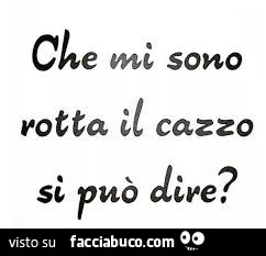 Che mi sono rotta il cazzo si può dire?