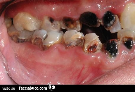 Vaccata