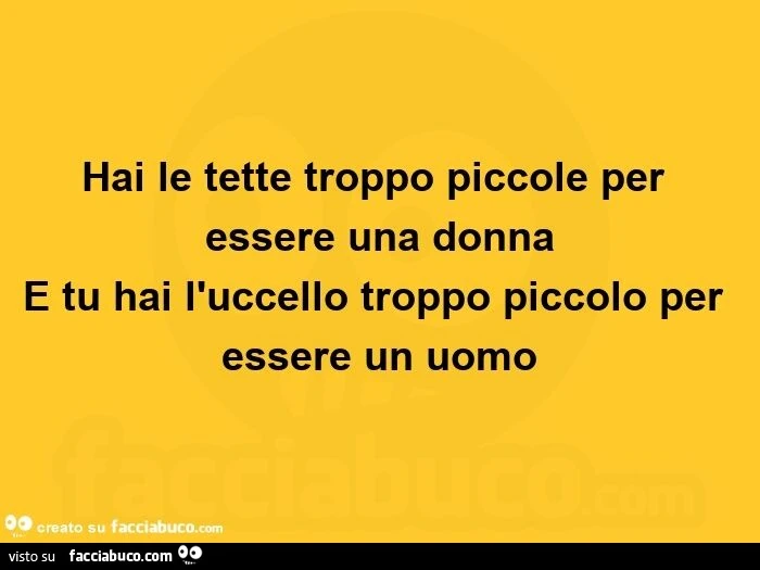 Hai le tette troppo piccole per essere una donna e tu hai l'uccello troppo piccolo per essere un uomo