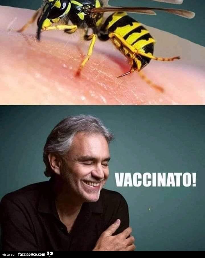 Una vespa punge Andrea Bocelli. Vaccinato