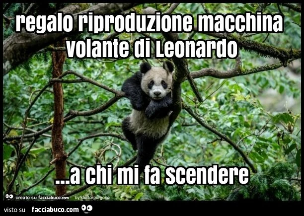 Regalo riproduzione macchina volante di leonardo&hellip; a chi mi fa scendere