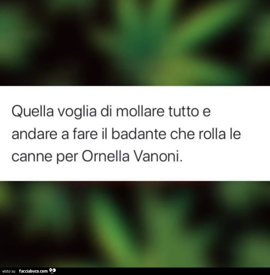 Vaccata