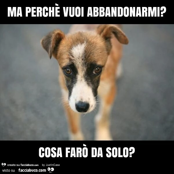 Ma perchè vuoi abbandonarmi? Cosa farò da solo?