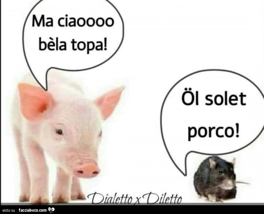 Ma ciaoooo bèla topa! Oi solet porco