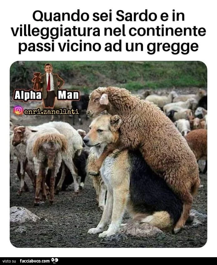 Vaccata