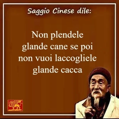 Saggio Cinese dire: non prendere grande cane se poi non vuoi raccogliere grande cacca