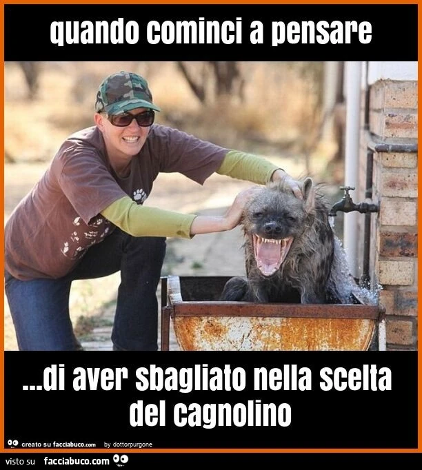 Quando cominci a pensare&hellip; di aver sbagliato nella scelta del cagnolino