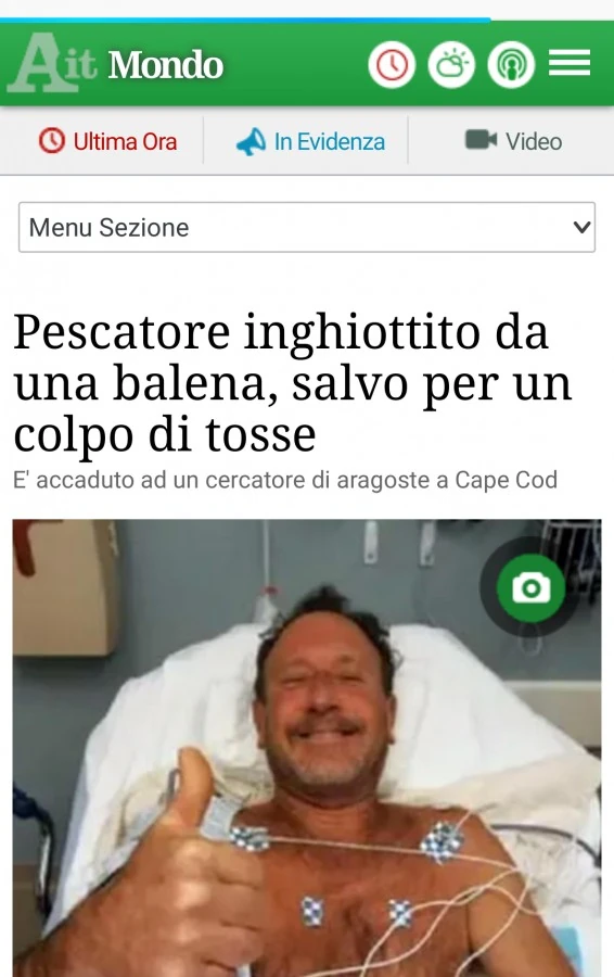 Vaccata