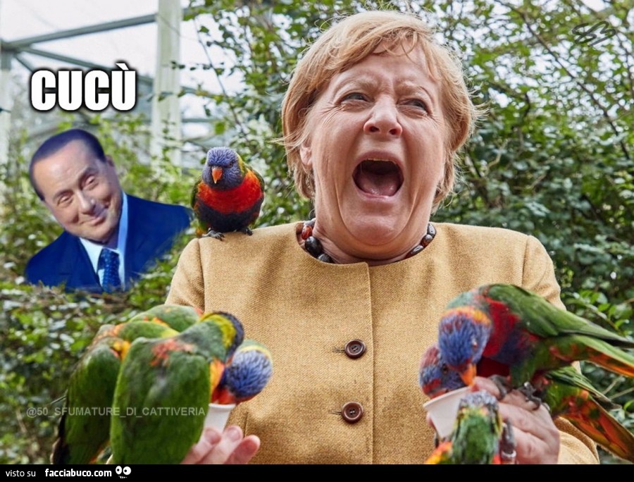 Berlusconi merkel cucu