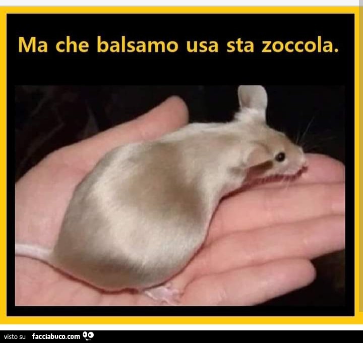 Ma che balsamo usa sta zoccola