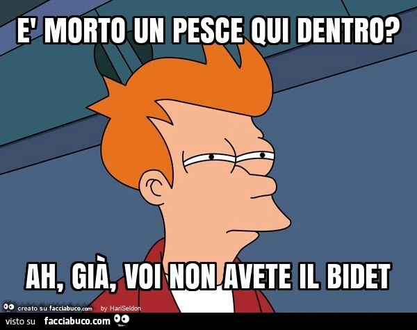 È morto un pesce qui dentro? Ah, già, voi non avete il bidet