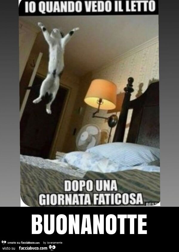 Buonanotte