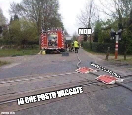 Vaccata