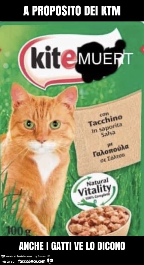 A proposito dei ktm anche i gatti ve lo dicono