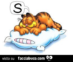 Garfield dorme