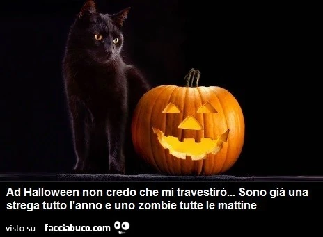 Ad halloween non credo che mi travestirò&hellip; sono già una strega tutto l'anno e uno zombie tutte le mattine