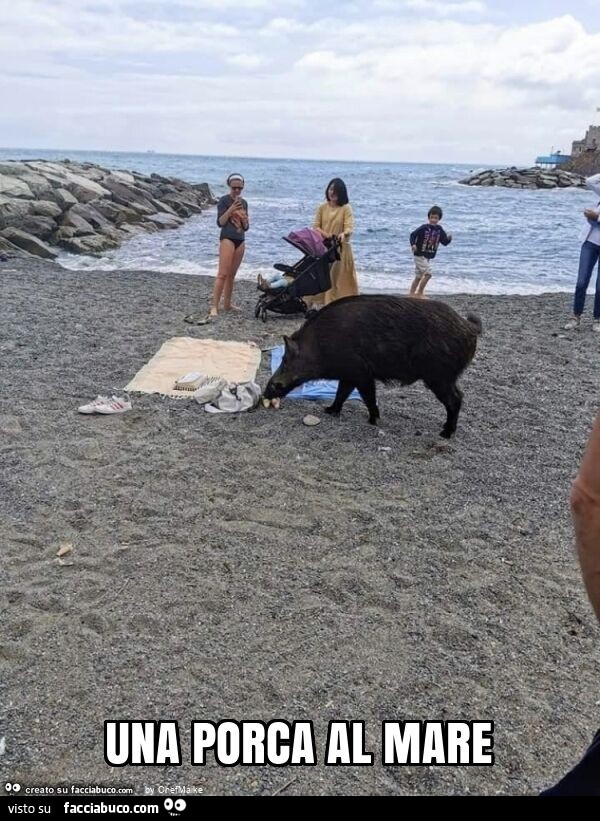 Una porca al mare