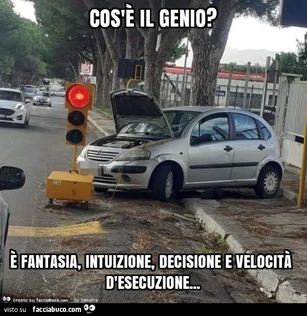 Cos'è il genio? È Fantasia, intuizione, decisione e velocità d'esecuzione
