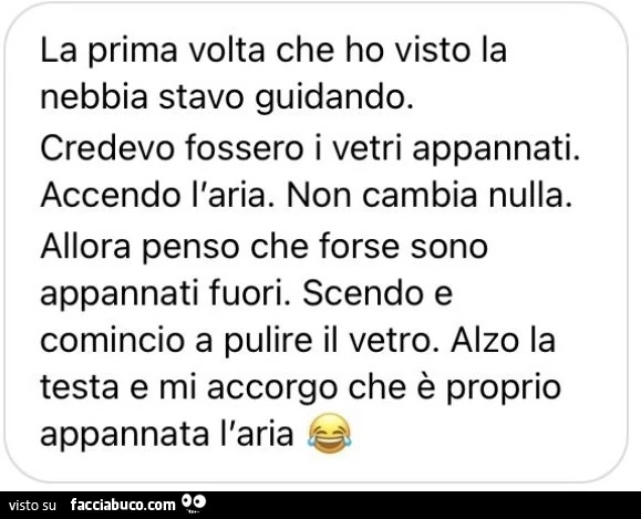 La prima volta che ho visto la nebbia stavo guidando. Credevo fossero i vetri appannati. Accendo l'aria. Non cambia nulla. Allora penso che forse sono appannati fuori. Scendo e comincio a pulire il vetro. Alzo la testa e mi accorgo che è proprio appa